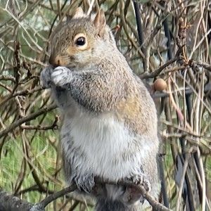 Meet your Posher, Charles